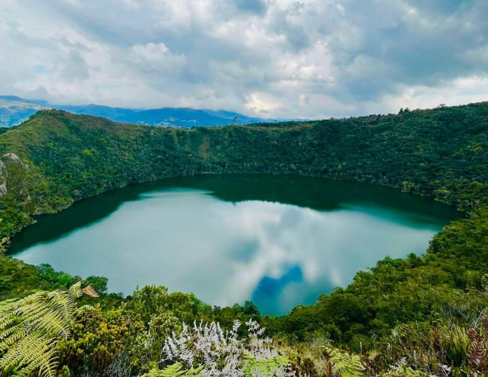 Reserva Forestal Embalse del Neusa