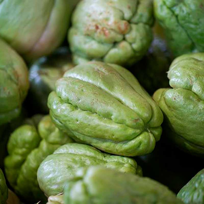 analgésicos naturales