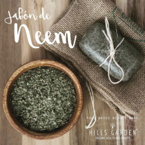 Cuatro emprendimientos colombianos de cosmética y maquillaje natural Hills garden