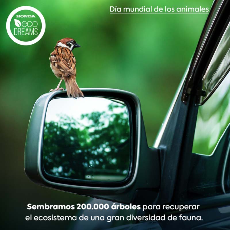 medio ambiente, Honda Colombia,