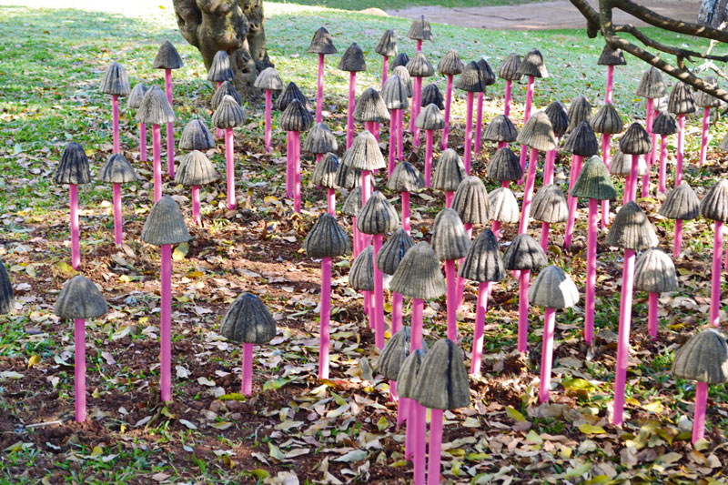 Lenguaje, memoria y medioambiente en la colección de arte de seguros bolívar Lenguaje, memoria y medioambiente en la colección de arte de seguros bolívar