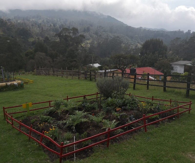 Anímese a cuidar su propia huerta