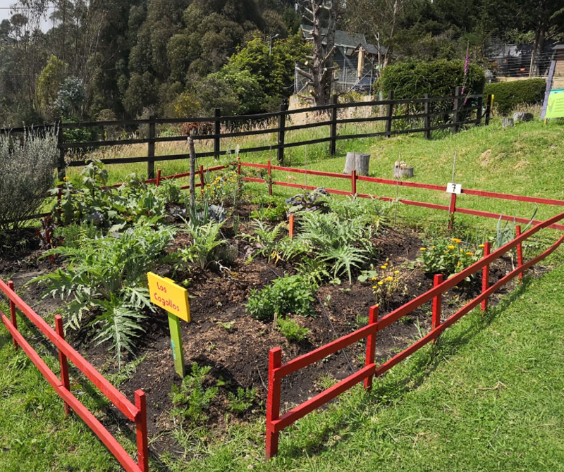 Anímese a cuidar su propia huerta