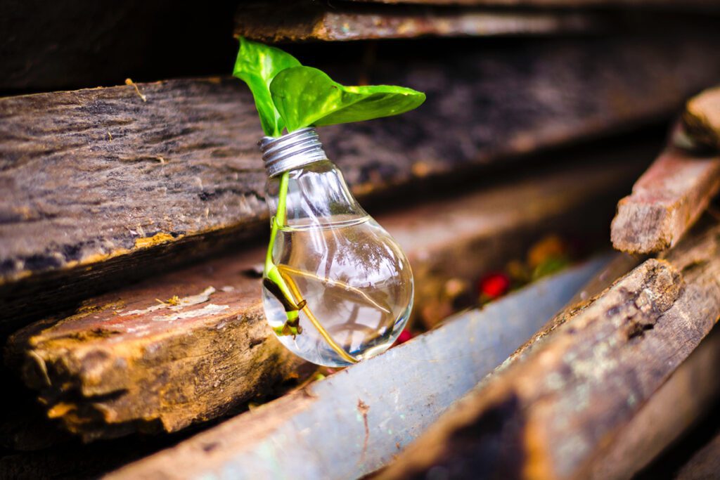 4 ideas ingeniosas para reutilizar objetos cotidianos Reutilizar objetos