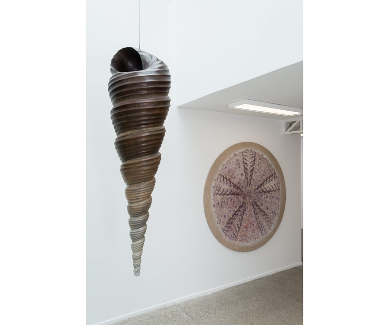 Un recorrido de color con miguel böhmer