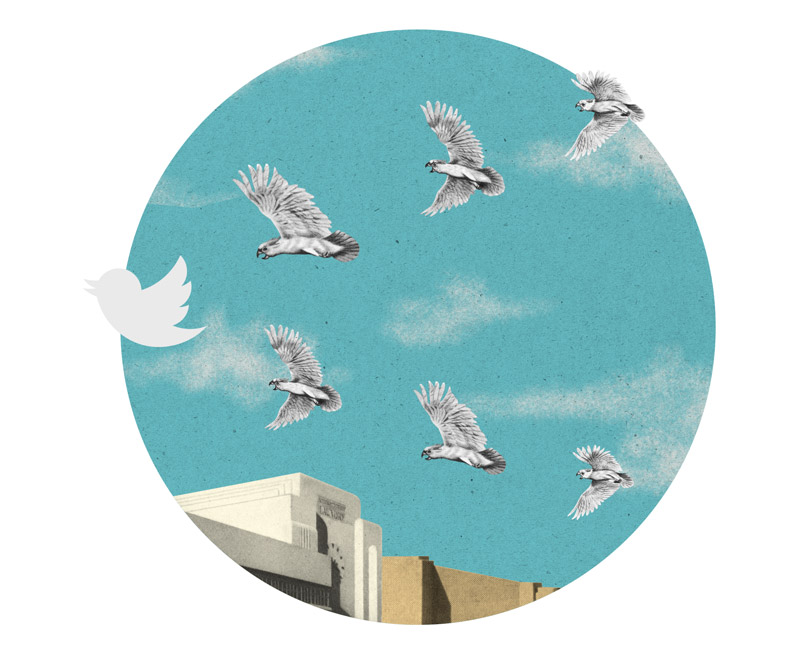 Así se mueven los reyes de las redes