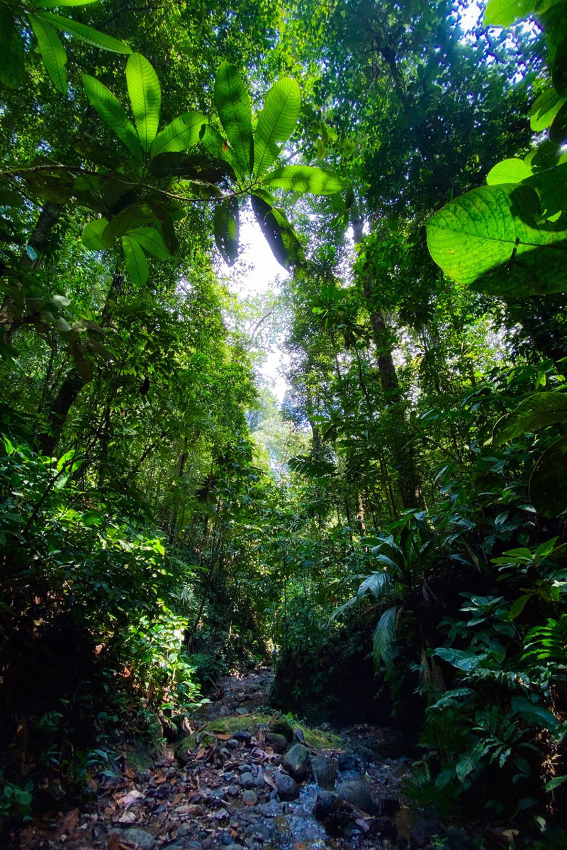 Fotógrafos colombianos