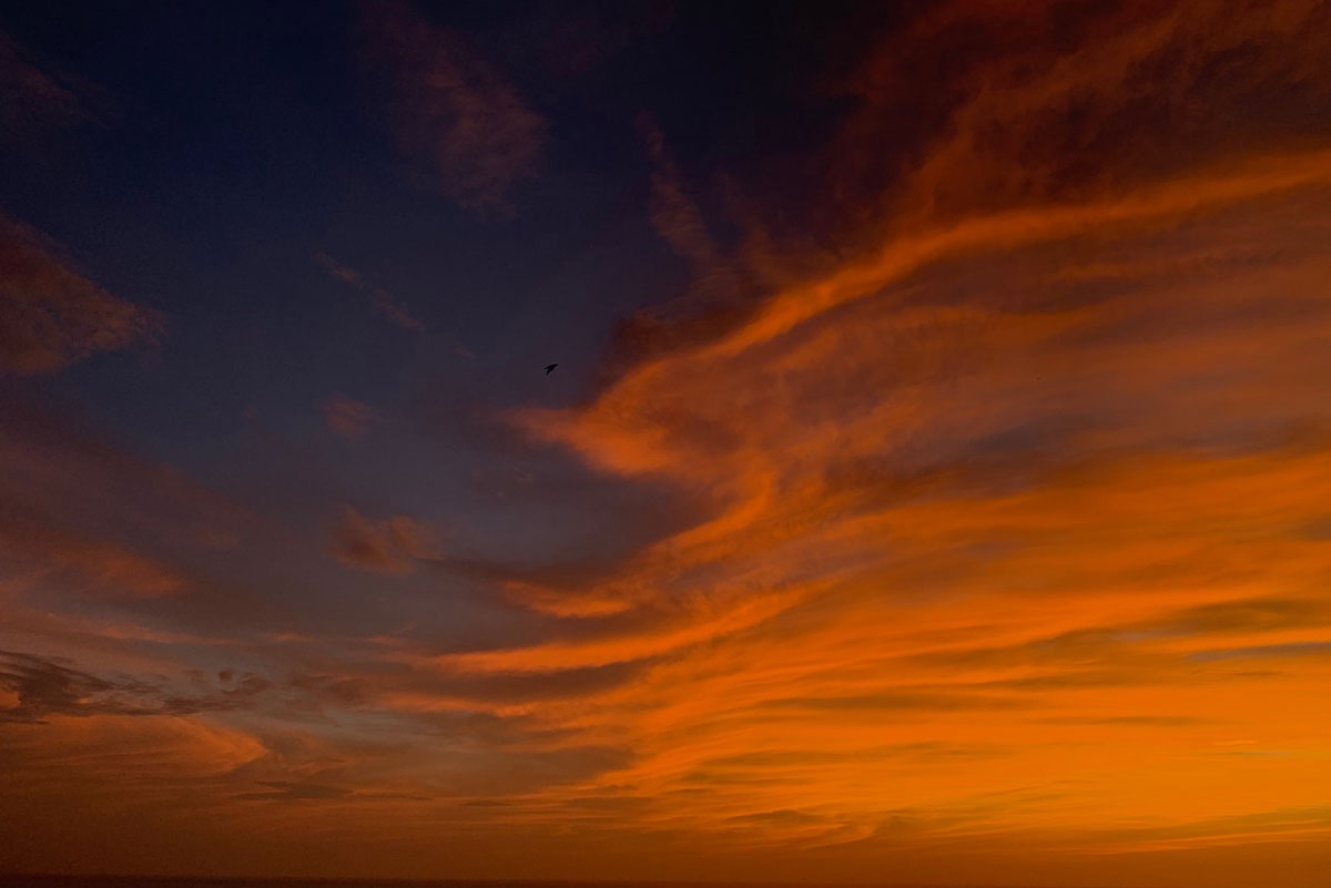 Fotógrafos colombianos