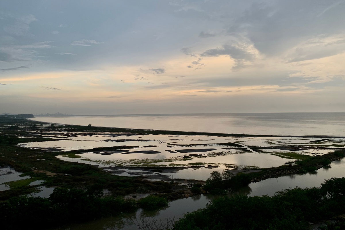 Fotógrafos colombianos