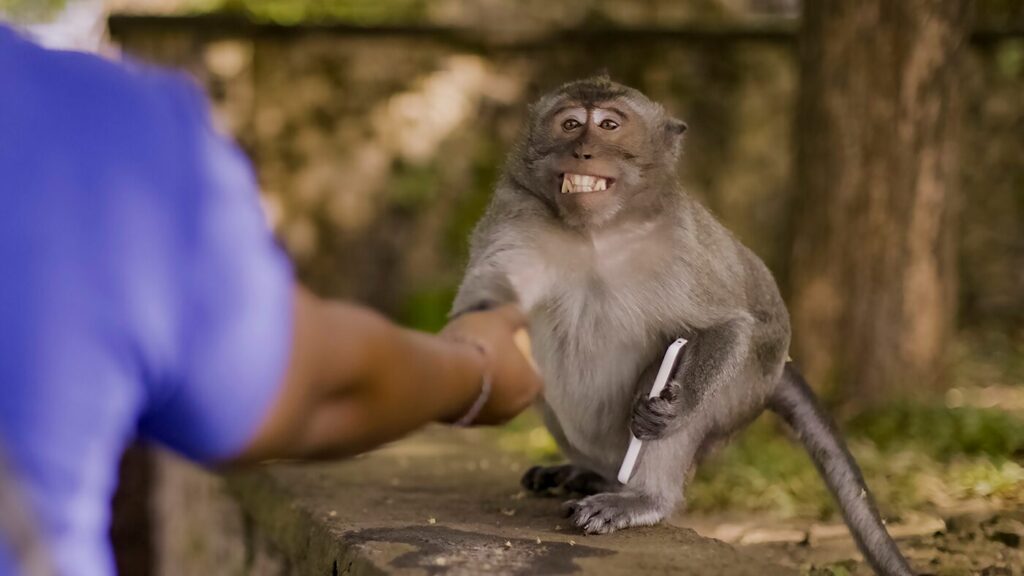 underdogs ryan reinolds