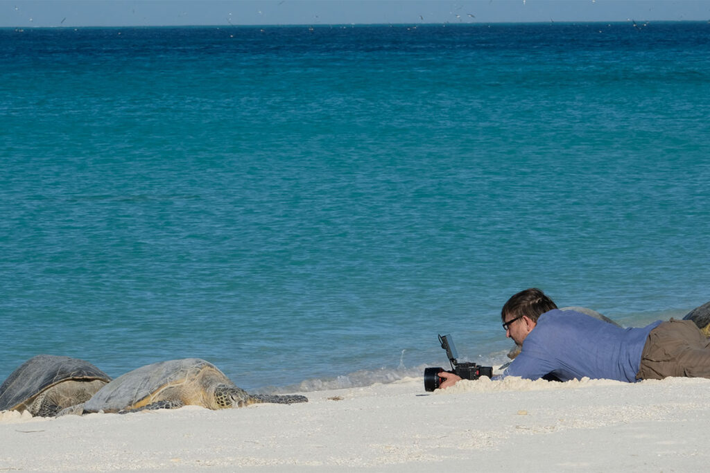 Océanos David Attenborough