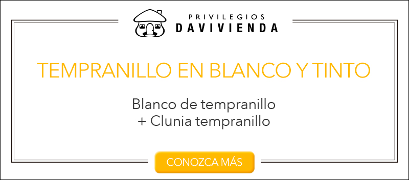 Vinos españoles que no pueden faltar en su cava Vinos españoles que no pueden faltar en su cava