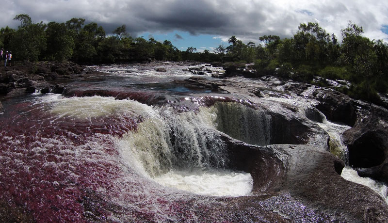Samy bessudo: “el secreto es adaptarse”