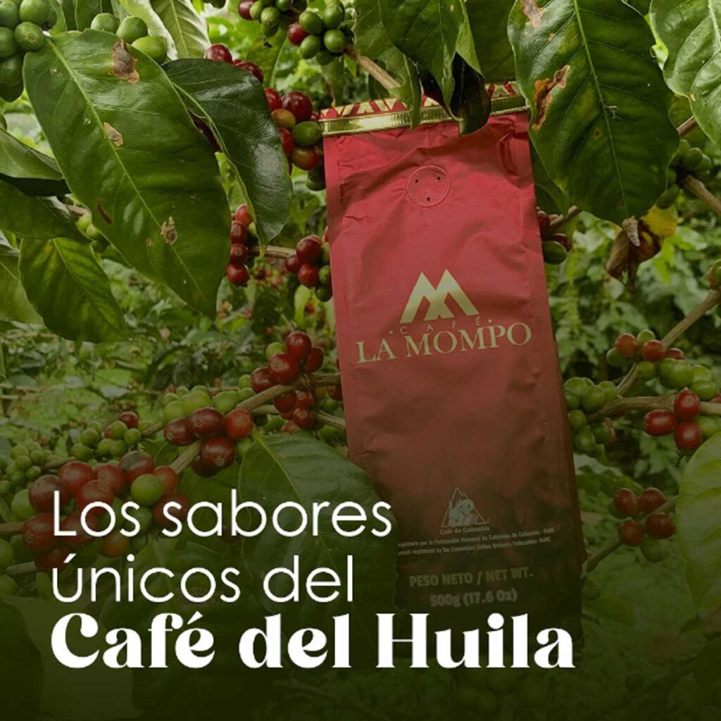 50 marcas de café colombiano para disfrutar en 2024 Café colombiano
