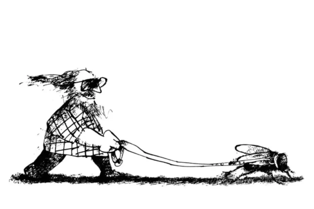 ¿sabía que la mosca es una de las inspiraciones del arte y la literatura?