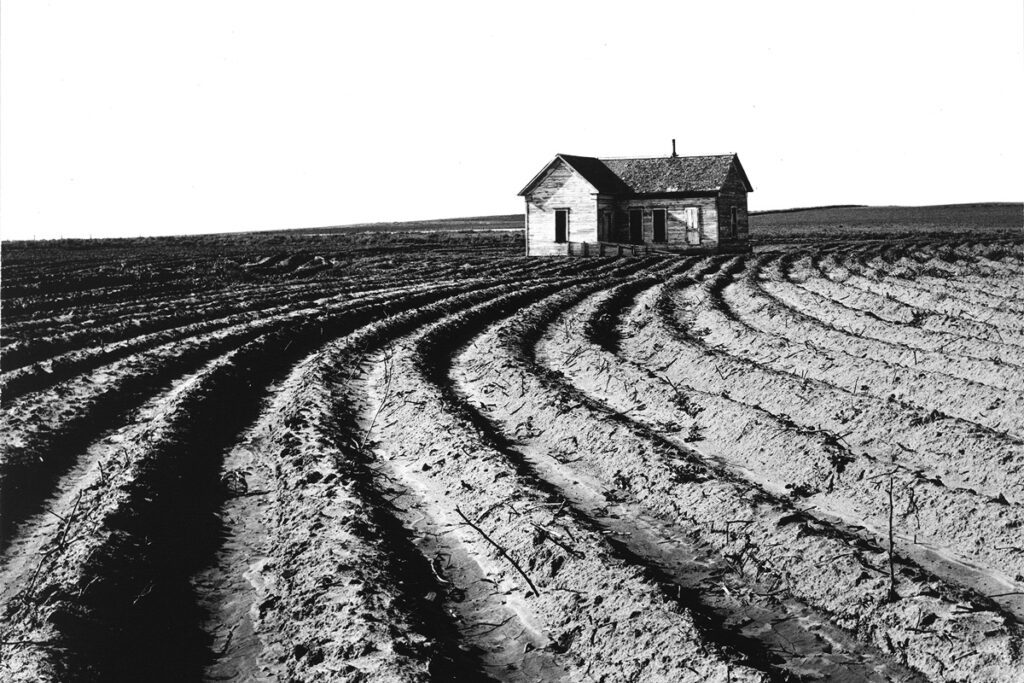 El homenaje a dorothea lange en el museo de arte moderno de nueva york Dorothea lange