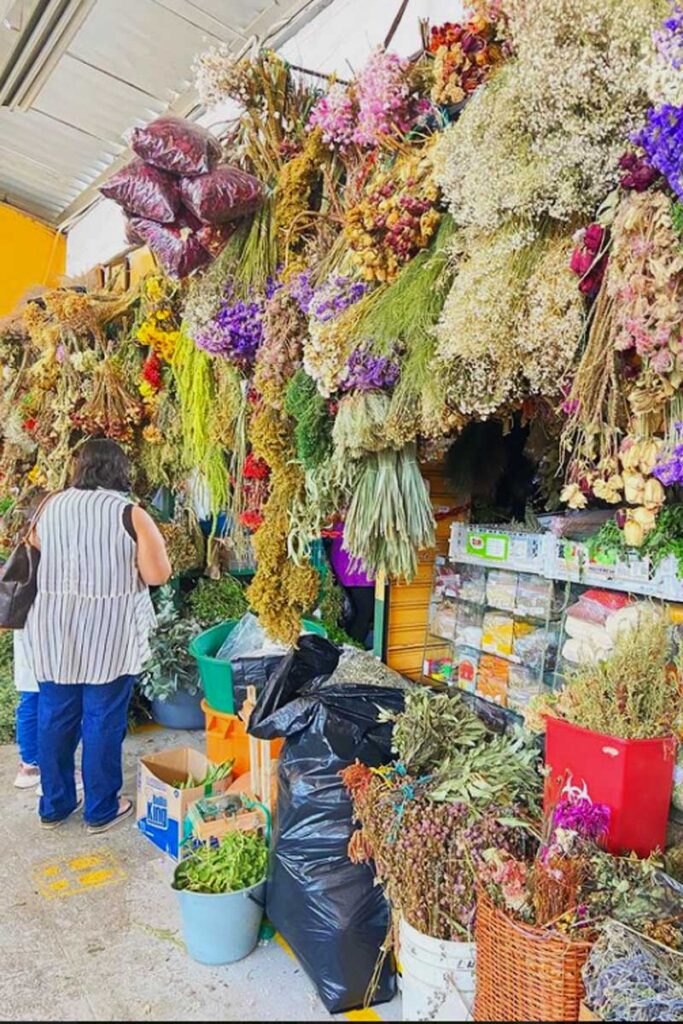Cuatro plazas de mercado en medellín que debe visitar Plazas de mercado