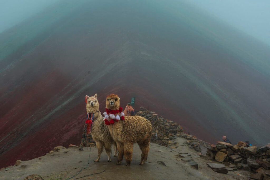 Vea las fotos ganadoras del national geographic traveler 2019 Vea las fotos ganadoras del national geographic traveler 2019