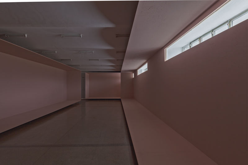 Lenguaje, memoria y medioambiente en la colección de arte de seguros bolívar Lenguaje, memoria y medioambiente en la colección de arte de seguros bolívar