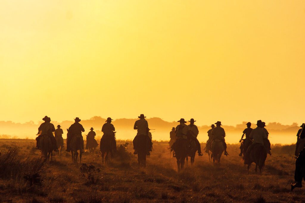 Safari llanero: un viaje a las profundidades de los llanos colombianos Llanos