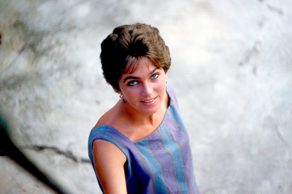Una noche en el paraíso, de lucia berlin: libro recomendado Una noche en el paraíso, de lucia berlin: libro recomendado