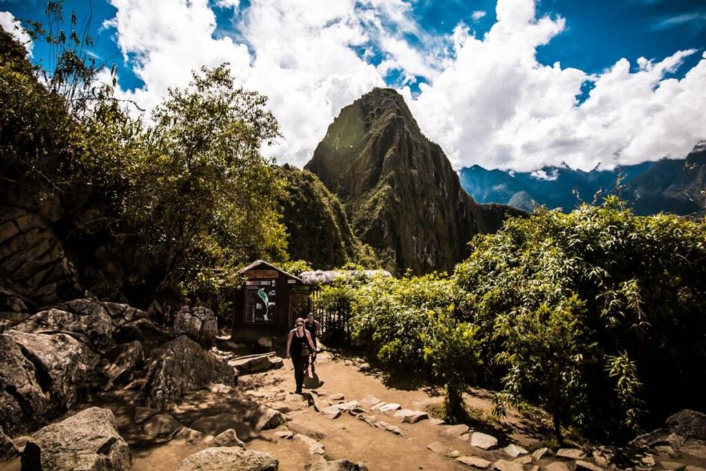 Crucero por el amazonas