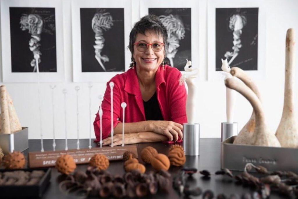 Maria fernanda cardoso: la vida como obra de arte Maria fernanda cardoso