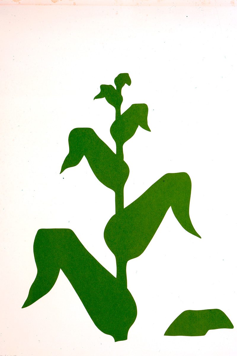 5 obras para recordar a antonio caro, el maestro del arte conceptual en colombia Maiz