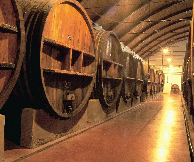 Tiempo de ruptura en los vinos argentinos