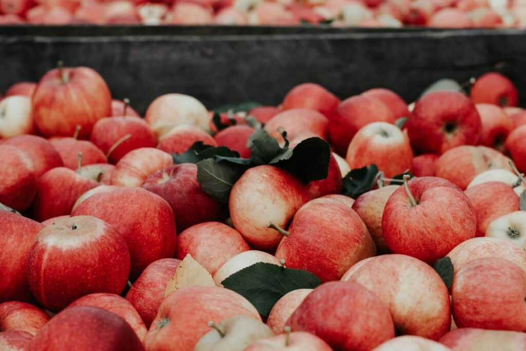 Cinco razones por las que empezará a comer una manzana todos los días Nuevas manzanas