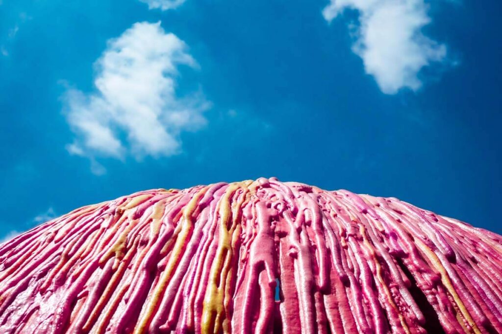 ¿por qué el chicle es tan importante en nuestra cultura?