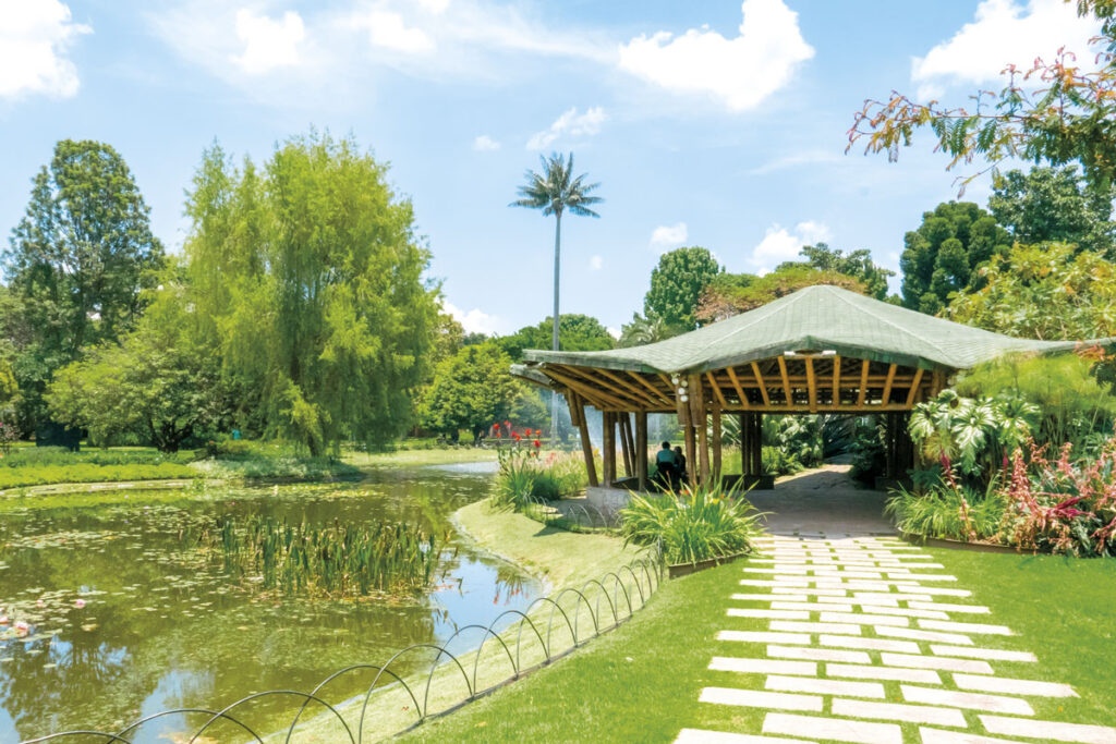 Jardín botánico año nuevo