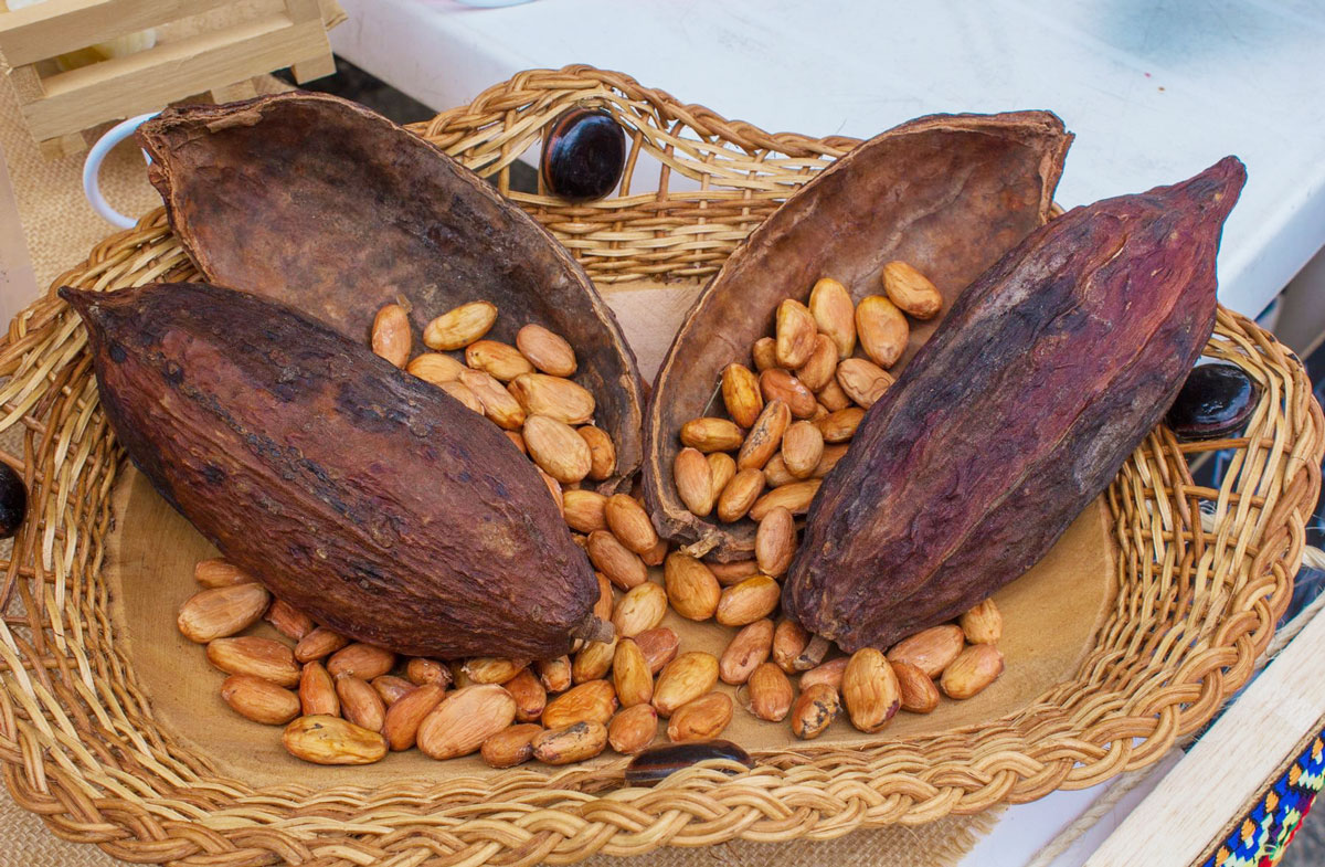 Mercado agroecológico del otún