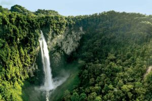 Merenberg, la saga familiar de la conservación ambiental