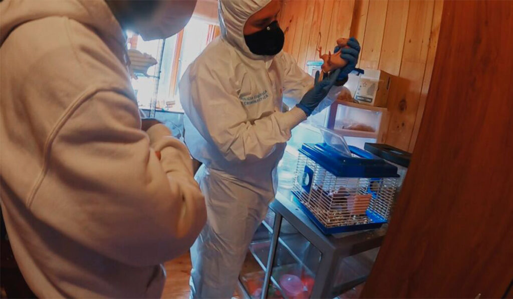 Marlon moreno narra las historias de la capital colombiana en metrópoli bogotá Metrópoli bogotá a&e