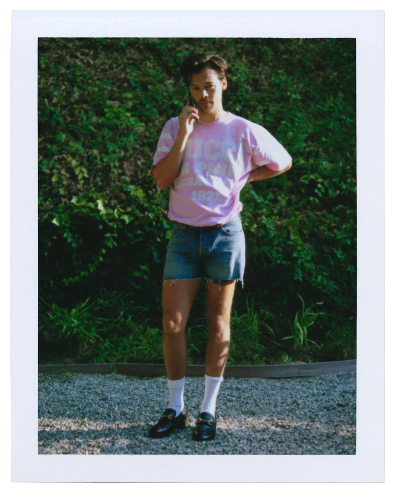 Harry styles - gucci