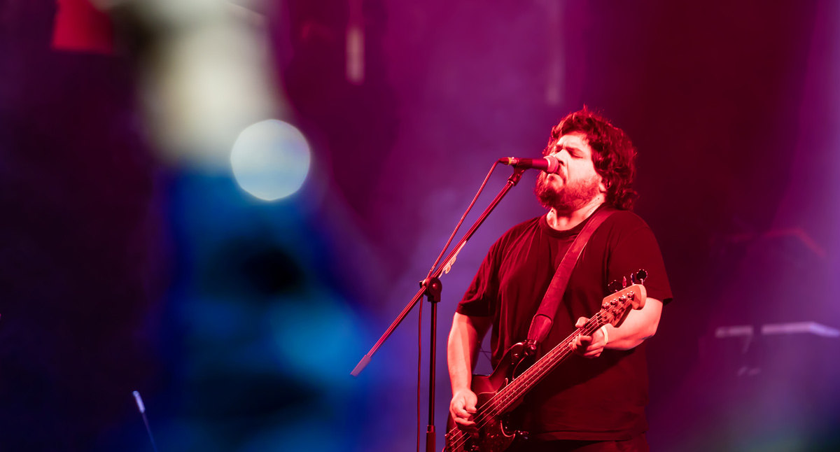 Galería: así se vivió el concierto radiónica 2019