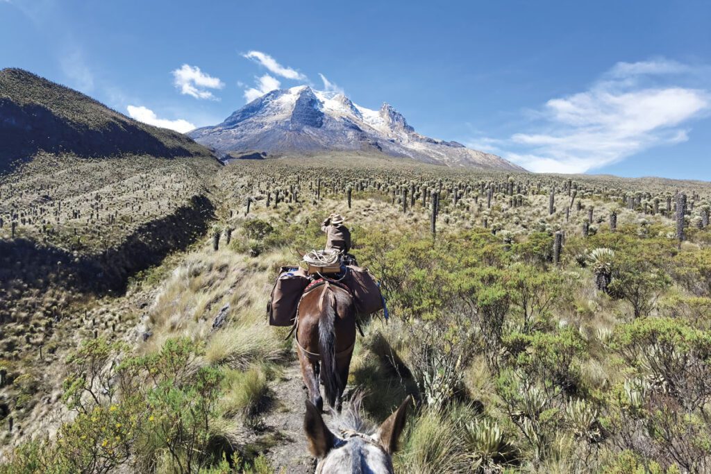 La travesía en mula por suramérica de simón vergara Simón vergara