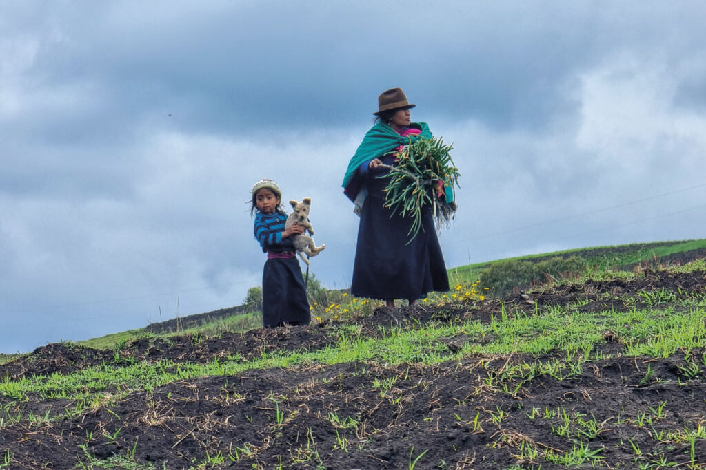 La travesía en mula por suramérica de simón vergara La travesía en mula por suramérica de simón vergara