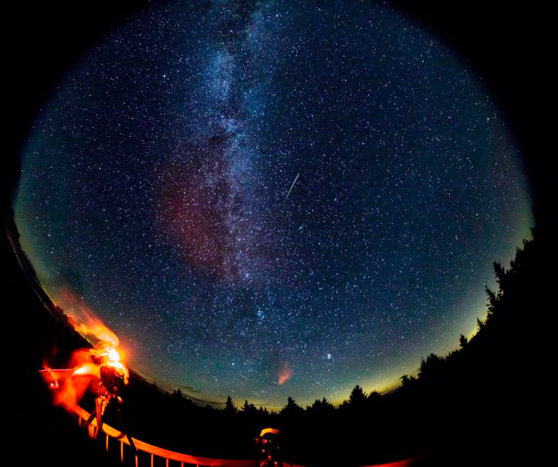 Vea los temas más populares de 2017