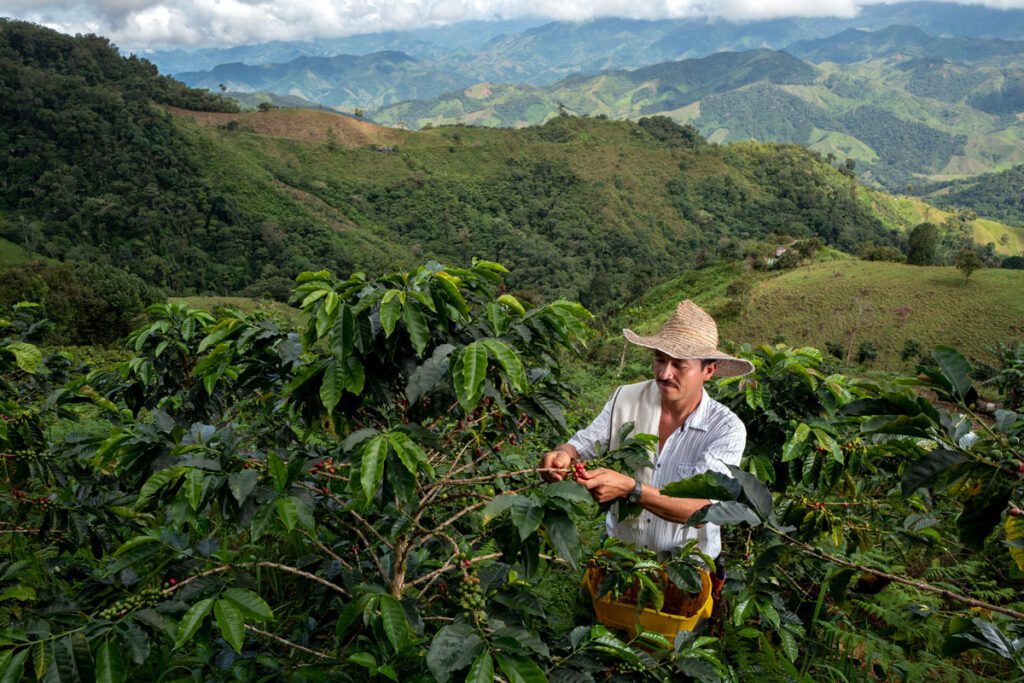 Esperanza de colombia, nespresso