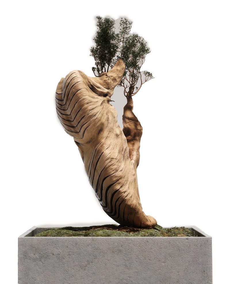 Nike free, las zapatillas más cómodas para correr