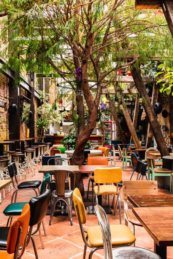 Ovejo, hamburguesa, burger master 2024,