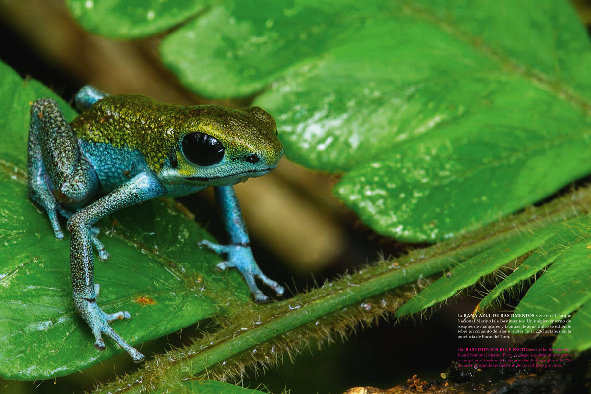 Panamá, the country: un libro para descubrir este maravilloso país