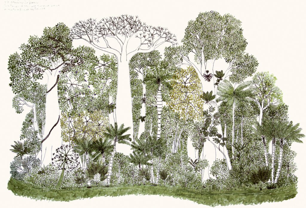 Paraísos y jardines: la exposición en el mamu que retrata la promesa de un mundo mejor Paraísos y jardines