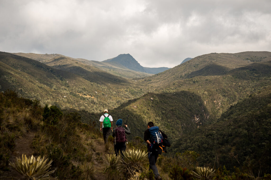 12 destinos dentro de Bogotá para turistear con la familia y los amigos Páramo de Sumapaz, Bogotá para turistear