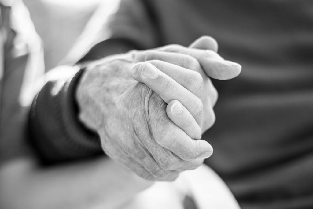 Holocausto nazi, nazi