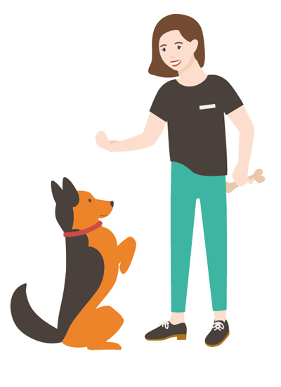 Guía para adoptar perros en colombia Adoptar perros