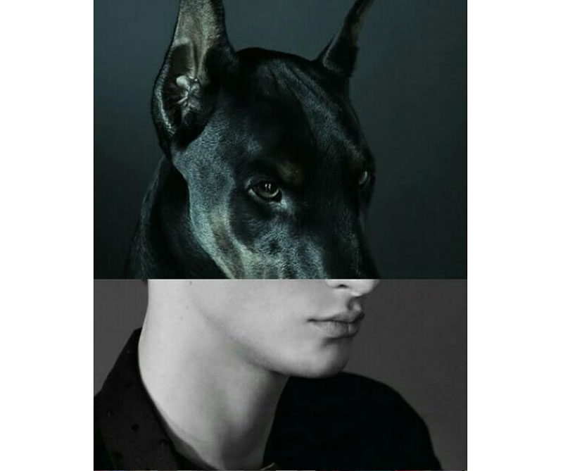 Galería: arte para incomodar a su familiar conservador