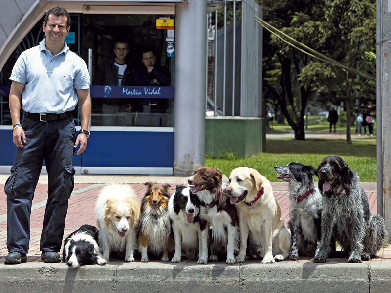 24 preguntas para entender a su perro
